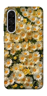Чохол на Samsung Galaxy A36 5G Camomile фото 1 з 1