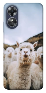 Чехол на Oppo A17 Лама фото 1 из 1