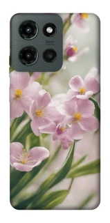 Чохол на Motorola Moto G Power (2025) Spring фото 1 з 1