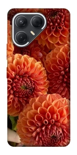 Чехол на TECNO Pova 7 Flower1 фото 1 из 1