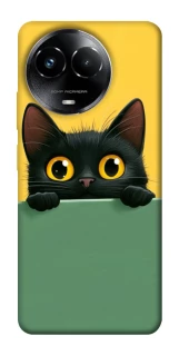 Чохол на Realme C67 4G Black cat v2 фото 1 з 1