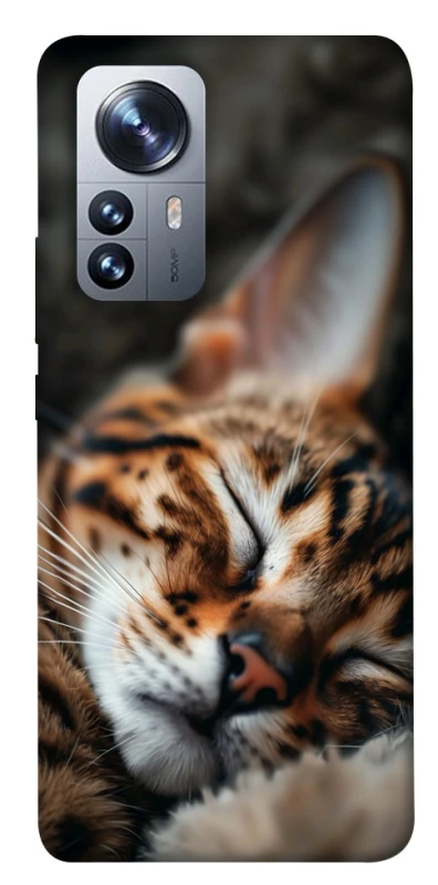 Чохол на Xiaomi 12 / 12X Cat paws фото 1 з 1