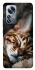 Чохол на Xiaomi 12 / 12X Cat paws фото 1 з 1