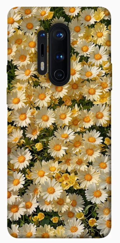 Чохол на OnePlus 8 Pro Camomile фото 1 з 1
