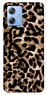 Чохол на Motorola Moto G84 Leopard Skin v4 фото 1 з 1