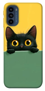 Чехол на Motorola Moto G41 Black cat v2 фото 1 из 1