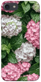 Чехол на Apple iPhone 7 / 8 (4.7") Secret Garden фото 1 из 1