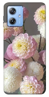 Чохол на Motorola Moto G84 Flowers v2 фото 1 з 1