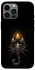 Чохол на Apple iPhone 12 Pro Max (6.7") Scorpio with Golden Triangle фото 1 з 1