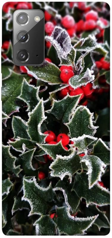 Чехол на Samsung Galaxy Note 20 Новогодний v32 фото 1 из 1