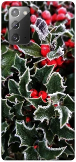 Чохол на Samsung Galaxy Note 20 Новорічний v32 фото 1 з 1