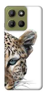 Чохол на Motorola Moto G15 4G Leopard Art v2 фото 1 з 1