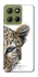 Чохол на Motorola Moto G15 4G Leopard Art v2 фото 1 з 1