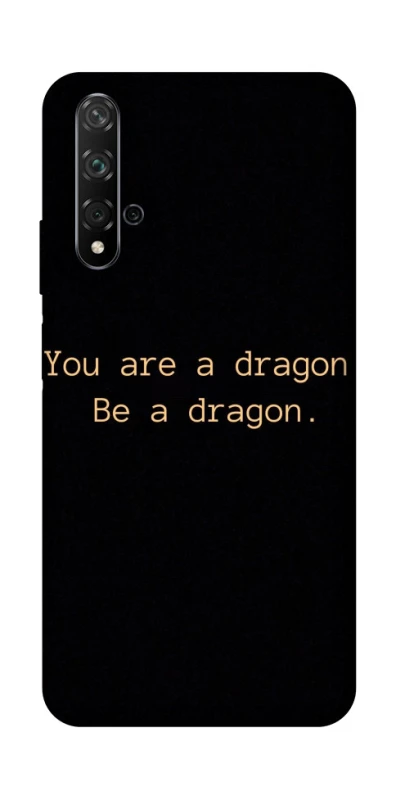 Чехол на Huawei Honor 20 / Nova 5T House of the Dragon ver.9 фото 1 из 1
