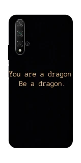 Чехол на Huawei Honor 20 / Nova 5T House of the Dragon ver.9 фото 1 из 1
