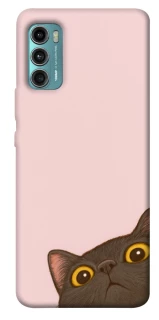 Чохол на Motorola Moto G60 Peeping cat фото 1 з 1