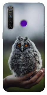 Чохол на Realme 5 Pro Совеня фото 1 з 1