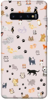 Чехол на Samsung Galaxy S10+ Cat style ver.1 фото 1 из 1