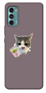 Чехол на Motorola Moto G60 cat matcha фото 1 из 1