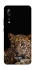 Чехол на ZTE Axon 10 Pro Leopard v4 фото 1 из 1