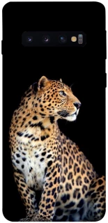 Чехол на Samsung Galaxy S10 Leopard v2 фото 1 из 1