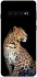 Чехол на Samsung Galaxy S10 Leopard v2 фото 1 из 1