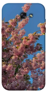 Чехол на Samsung A720 Galaxy A7 (2017) Flowers v4 фото 1 из 1