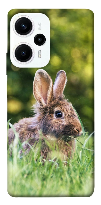 Чехол на Xiaomi Poco F5 / Note 12 Turbo Кролики фото 1 из 1