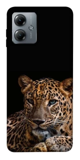 Чехол на Motorola Moto G14 Leopard v4 фото 1 из 1