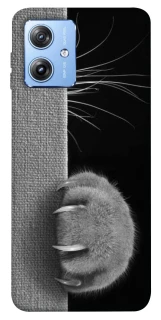 Чехол на Motorola Moto G84 Spy Cat фото 1 из 1