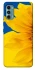 Чохол на Motorola Moto G60 Sunflower фото 1 з 1