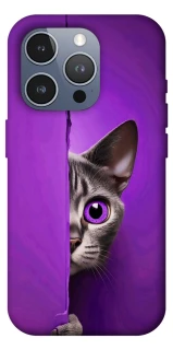 Чехол на Apple iPhone 16 Pro Max Кот-подглядыватель фото 1 из 1