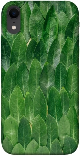 Чохол на Apple iPhone XR (6.1") Листя фото 1 з 1