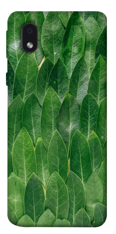 Чехол на Samsung Galaxy M01 Core / A01 Core Листья фото 1 из 1