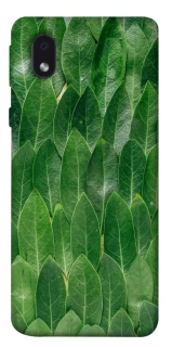 Чехол на Samsung Galaxy M01 Core / A01 Core Листья фото 1 из 1