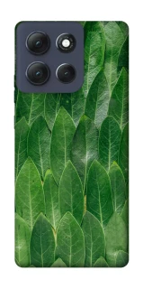 Чохол на Motorola Moto G86 Power Листя фото 1 з 1