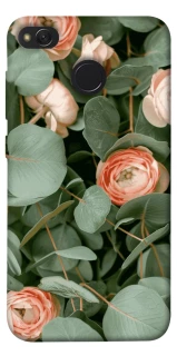 Чохол на Xiaomi Redmi 4X Eternal Spring фото 1 з 1