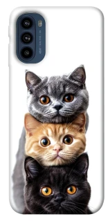 Чохол на Motorola Moto G41 Гарні котики фото 1 з 1