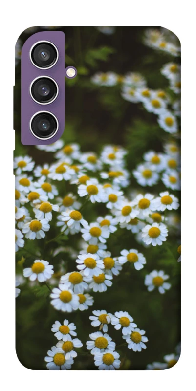 Чехол на Samsung Galaxy S23 FE Ромашки v13 фото 1 из 1