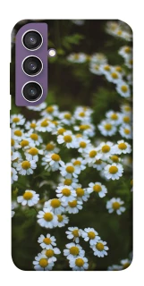Чехол на Samsung Galaxy S23 FE Ромашки v13 фото 1 из 1