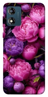 Чохол на Motorola Moto E13 Garden2 фото 1 з 1