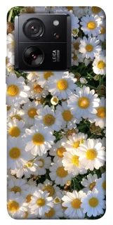 Чохол на Xiaomi 13T Pro Поле ромашок фото 1 Чохол на Xiaomi 13T Pro Поле ромашок фото 1 з 1