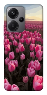 Чехол на Xiaomi Redmi Note 13 Pro+ Spring Awakening фото 1 из 1