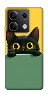 Чехол на Xiaomi Redmi Note 13 5G Black cat v2 фото 1 из 1