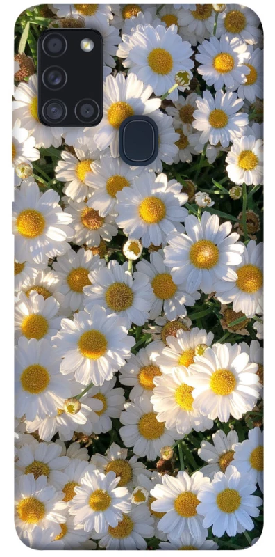 Чохол на Samsung Galaxy A21s Поле ромашок фото 1 з 1