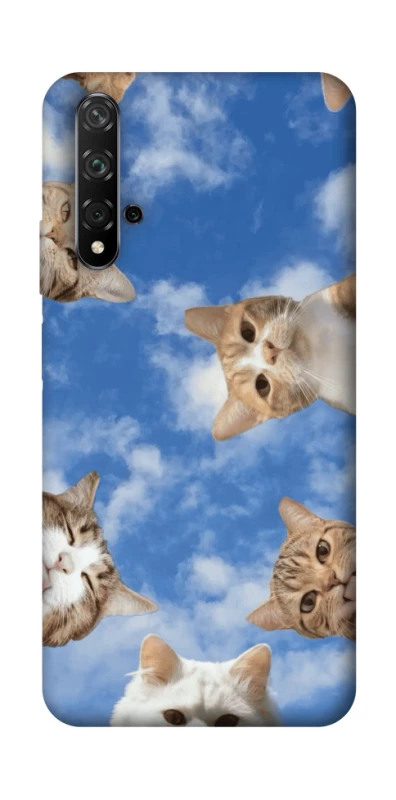 Чохол на Huawei Honor 20 / Nova 5T Сats фото 1 з 1