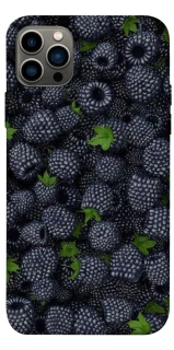 Чохол на Apple iPhone 12 Pro (6.1") Fresh фото 1 з 1