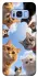 Чехол на Samsung G950 Galaxy S8 Cats фото 1 из 1
