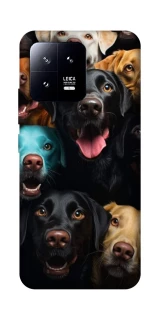 Чехол на Xiaomi 13 Собаки фото 1 из 1