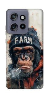 Чохол на Motorola Edge 50 Neo Шимпанзе v3 фото 1 з 1